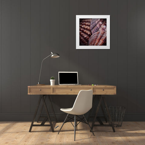Macro Shells V White Modern Wood Framed Art Print by Perry, Rachel