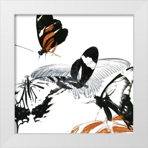 Butterfly Inflorescence III White Modern Wood Framed Art Print by Project, A.