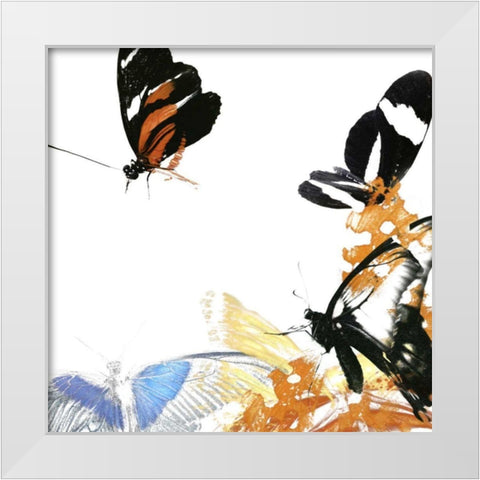 Butterfly Inflorescence IV White Modern Wood Framed Art Print by Project, A.