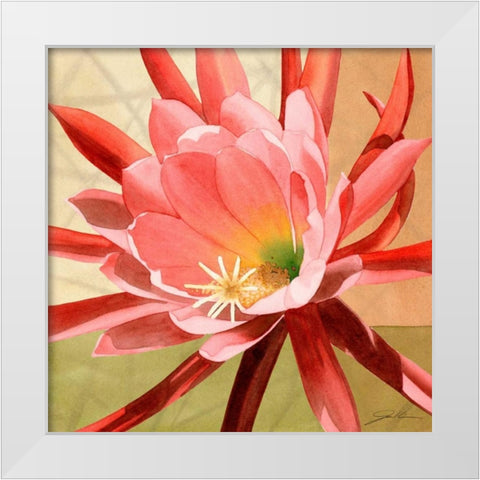 Desert Bloom I White Modern Wood Framed Art Print by Higby, Jason