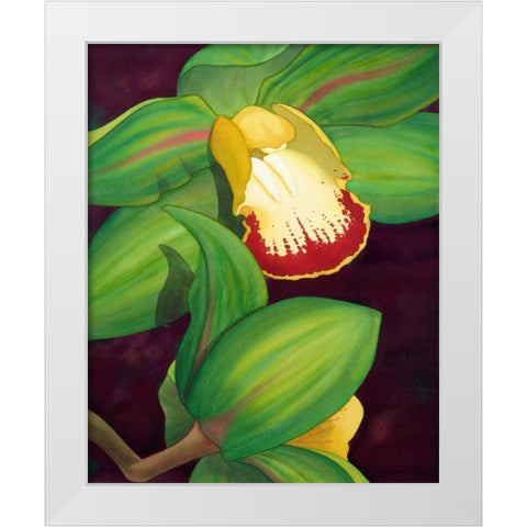 Lime Orchid II White Modern Wood Framed Art Print by Higby, Jason