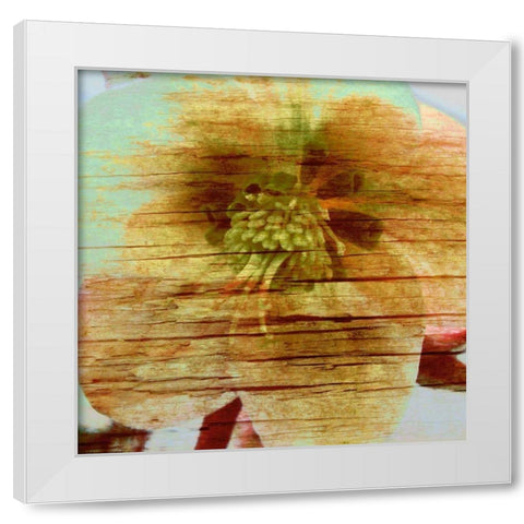 Petrified Stem II White Modern Wood Framed Art Print by Harrington, Danielle