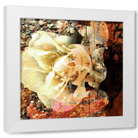 Eveline I White Modern Wood Framed Art Print by Harrington, Danielle