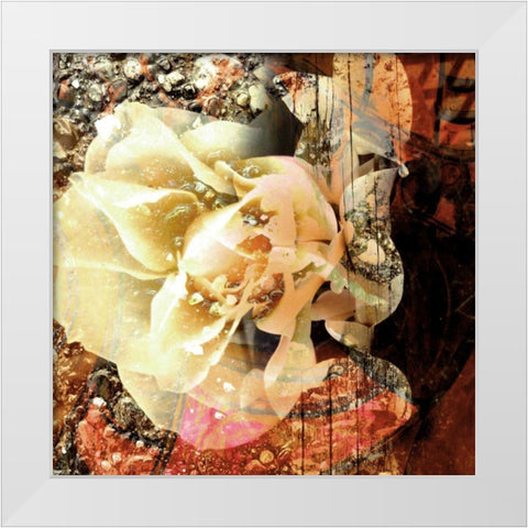 Eveline I White Modern Wood Framed Art Print by Harrington, Danielle