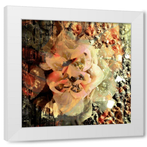 Eveline II White Modern Wood Framed Art Print by Harrington, Danielle