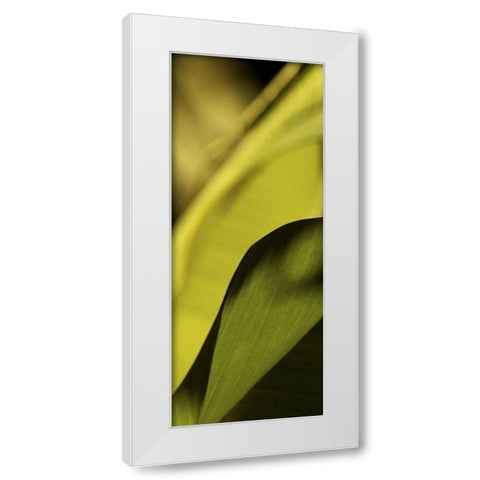 Leaf Detail I White Modern Wood Framed Art Print by Ling, Tang