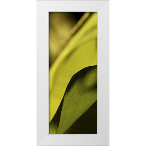 Leaf Detail I White Modern Wood Framed Art Print by Ling, Tang