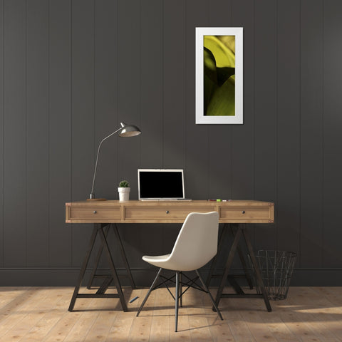 Leaf Detail II White Modern Wood Framed Art Print by Ling, Tang