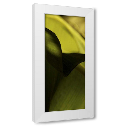 Leaf Detail II White Modern Wood Framed Art Print by Ling, Tang