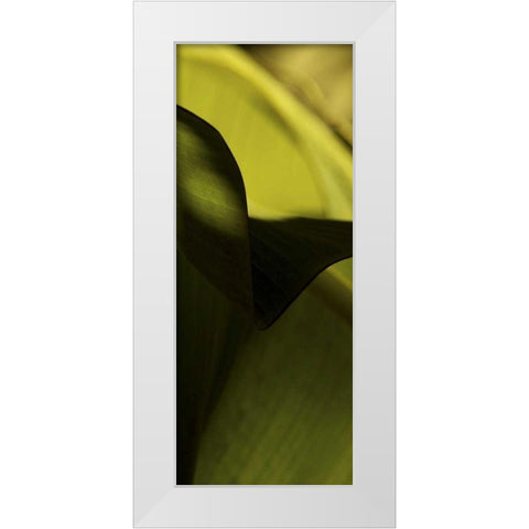 Leaf Detail II White Modern Wood Framed Art Print by Ling, Tang