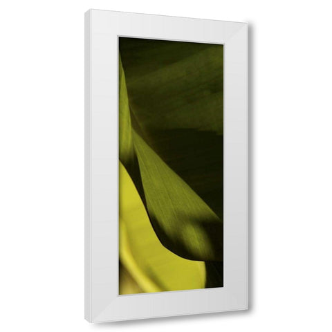 Leaf Detail III White Modern Wood Framed Art Print by Ling, Tang