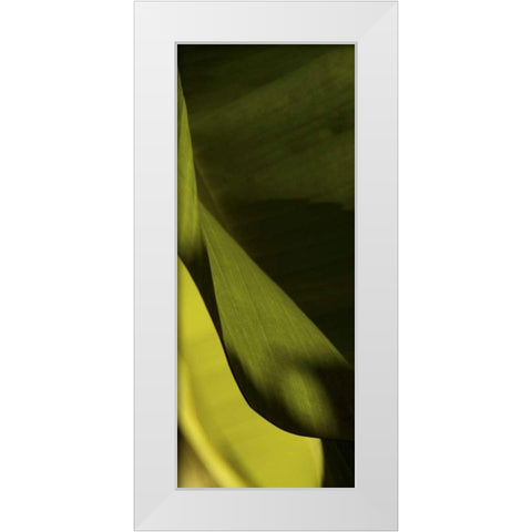 Leaf Detail III White Modern Wood Framed Art Print by Ling, Tang