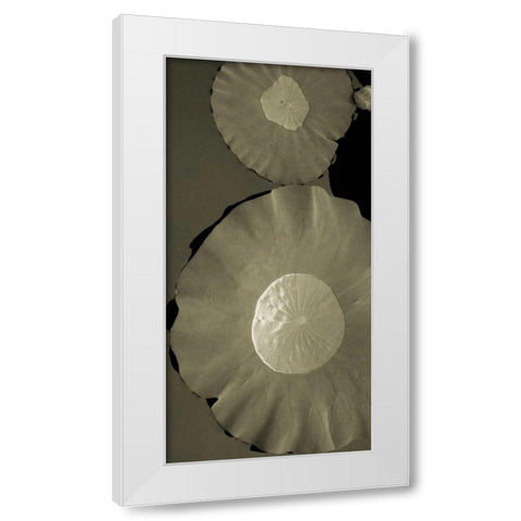 Lotus I White Modern Wood Framed Art Print by Ling, Tang