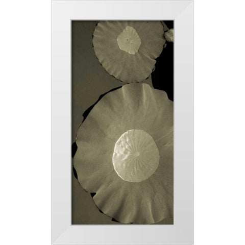 Lotus I White Modern Wood Framed Art Print by Ling, Tang