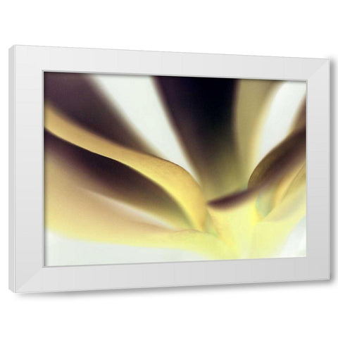 Petal II White Modern Wood Framed Art Print by Ling, Tang