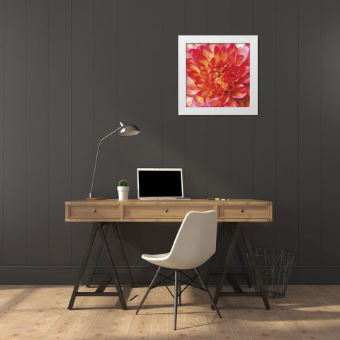 Painterly Flower II White Modern Wood Framed Art Print by Henry, Lola