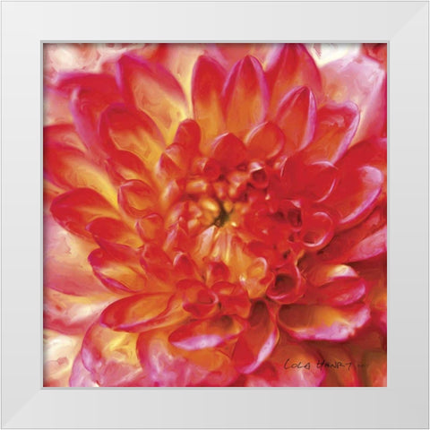 Painterly Flower II White Modern Wood Framed Art Print by Henry, Lola