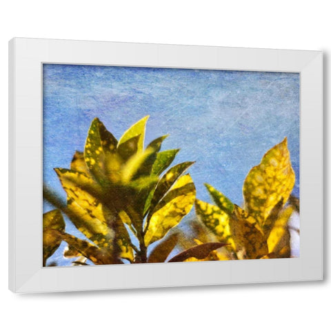 Sun Toward I White Modern Wood Framed Art Print by Robinson, Emily
