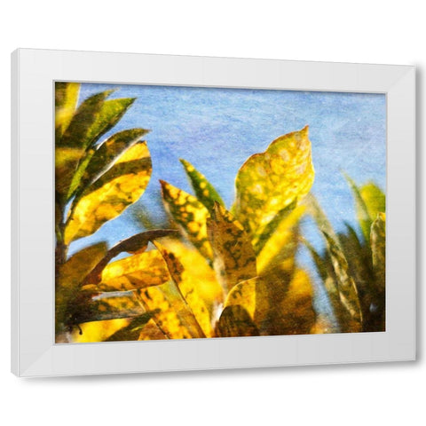 Sun Toward II White Modern Wood Framed Art Print by Robinson, Emily