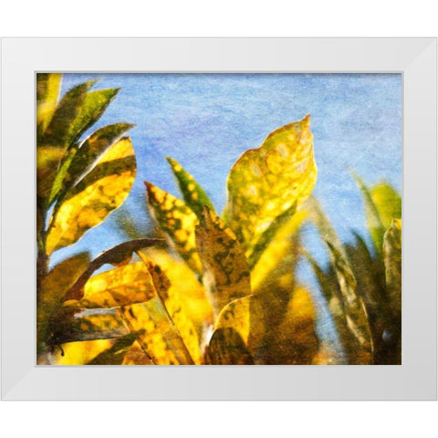 Sun Toward II White Modern Wood Framed Art Print by Robinson, Emily