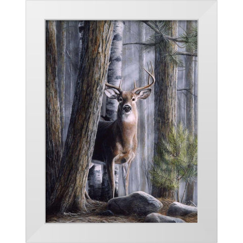Simply Curious II White Modern Wood Framed Art Print by Daniel, Kevin