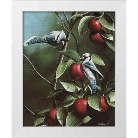 Summer Blue Jays White Modern Wood Framed Art Print by Daniel, Kevin
