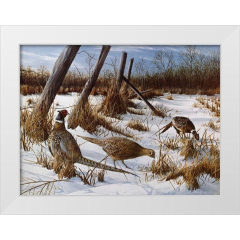 Daybreak White Modern Wood Framed Art Print by Daniel, Kevin