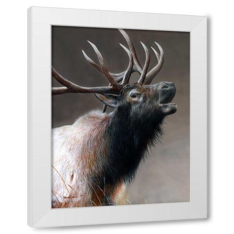 American Icon - Elk White Modern Wood Framed Art Print by Daniel, Kevin