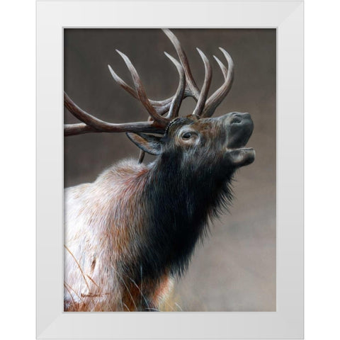 American Icon - Elk White Modern Wood Framed Art Print by Daniel, Kevin