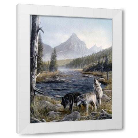 Vantage Point II White Modern Wood Framed Art Print by Daniel, Kevin
