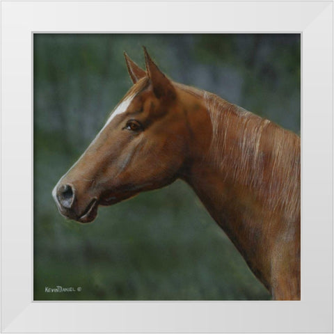 Quarter Horse White Modern Wood Framed Art Print by Daniel, Kevin
