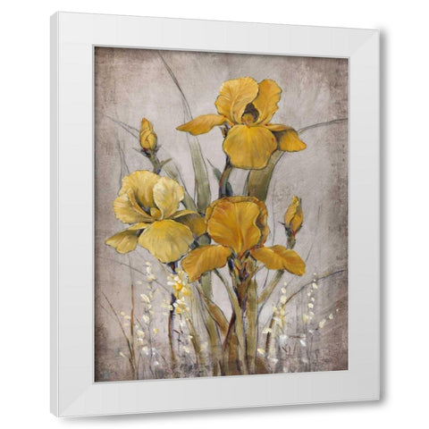 Golden Irises II White Modern Wood Framed Art Print by OToole, Tim