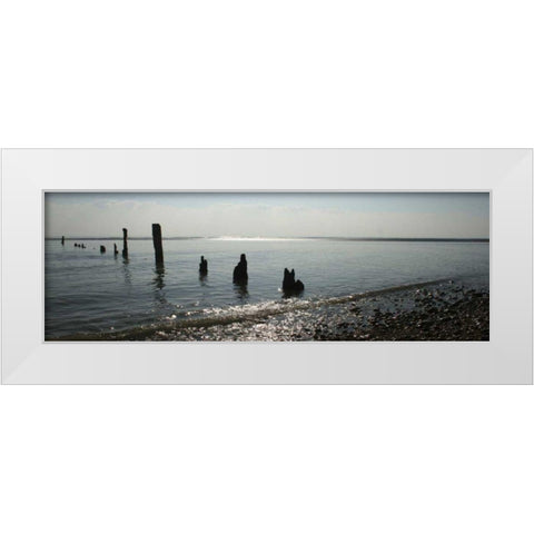 Beach Study I White Modern Wood Framed Art Print by Bay, Noah