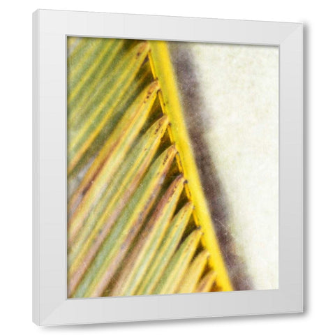 Frond Study I White Modern Wood Framed Art Print by Robinson, Emily