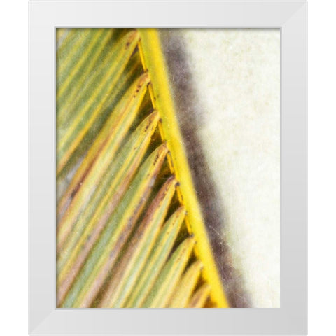 Frond Study I White Modern Wood Framed Art Print by Robinson, Emily