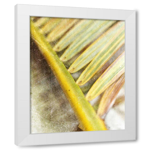 Frond Study II White Modern Wood Framed Art Print by Robinson, Emily