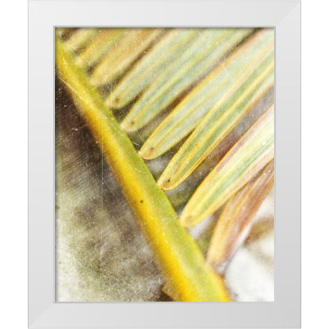 Frond Study II White Modern Wood Framed Art Print by Robinson, Emily