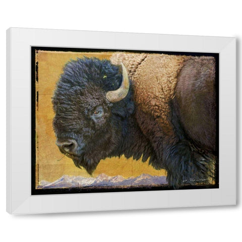 Bison Portrait III White Modern Wood Framed Art Print by Vest, Chris
