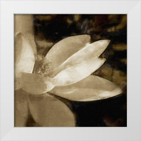 Bronze Lily IV White Modern Wood Framed Art Print by Bay, Noah