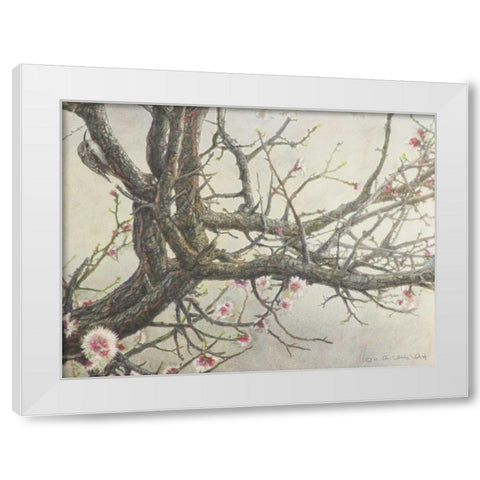 Apricot Creeper White Modern Wood Framed Art Print by Vest, Chris