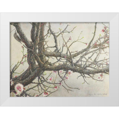 Apricot Creeper White Modern Wood Framed Art Print by Vest, Chris
