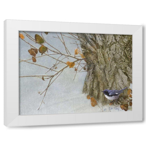 Late Snow Warbler White Modern Wood Framed Art Print by Vest, Chris