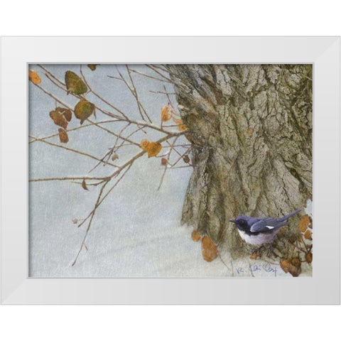 Late Snow Warbler White Modern Wood Framed Art Print by Vest, Chris