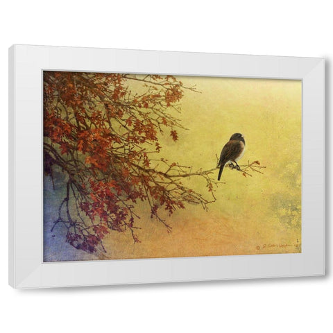 Snow Oak Junco White Modern Wood Framed Art Print by Vest, Chris