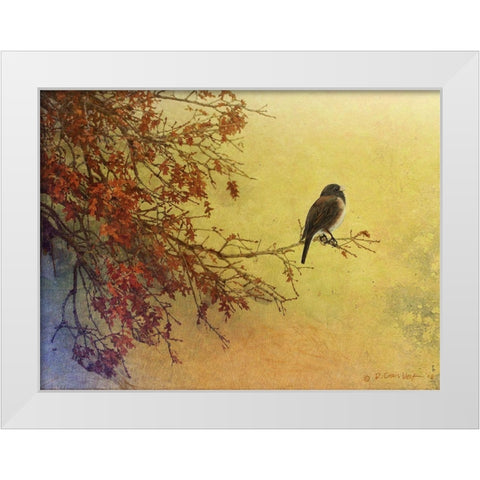 Snow Oak Junco White Modern Wood Framed Art Print by Vest, Chris