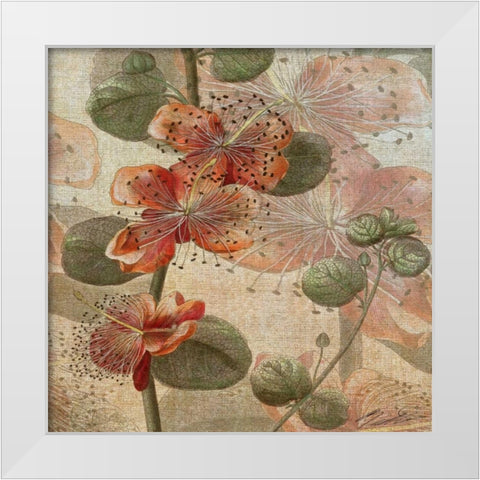 Desert Botanicals I White Modern Wood Framed Art Print by Butler, John