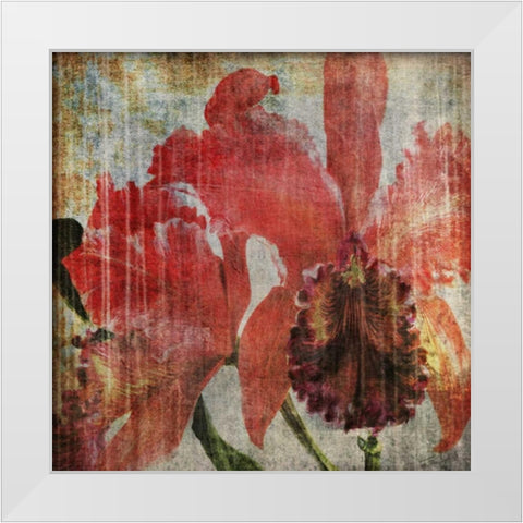 Pacific Orchid I White Modern Wood Framed Art Print by Butler, John
