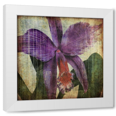 Pacific Orchid II White Modern Wood Framed Art Print by Butler, John