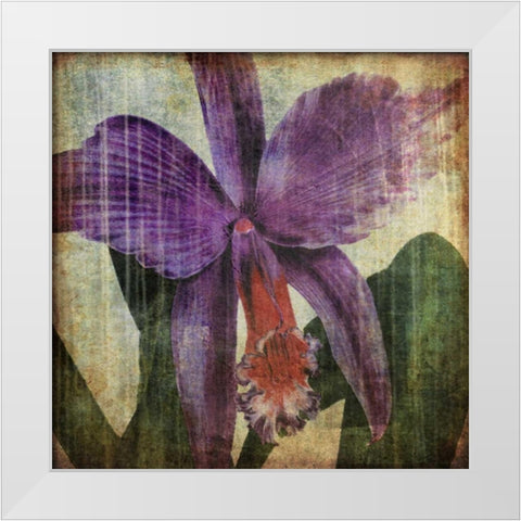 Pacific Orchid II White Modern Wood Framed Art Print by Butler, John