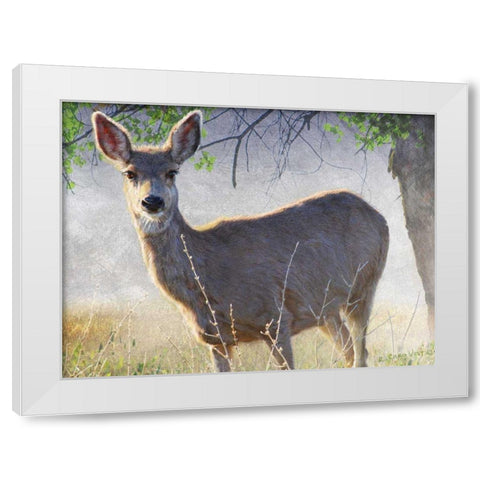 Spring Doe White Modern Wood Framed Art Print by Vest, Chris